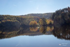 IMG_7776