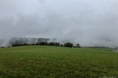 IMG_1509 IMG_1509
