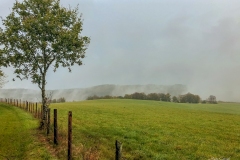 IMG_1514 IMG_1514