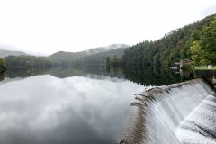 IMG_1521 IMG_1521