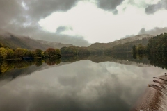 IMG_1523 IMG_1523