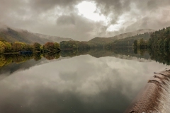 IMG_1524 IMG_1524