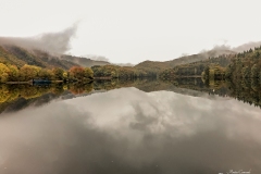 IMG_1540 IMG_1540