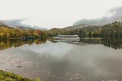 IMG_1545 IMG_1545