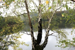 IMG_1550 IMG_1550