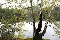 IMG_1551 IMG_1551