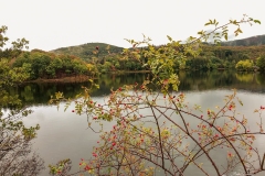 IMG_1556 IMG_1556