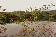 IMG_1557 IMG_1557