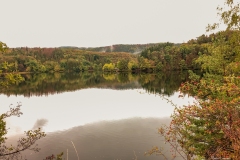IMG_1559 IMG_1559