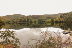 IMG_1563 IMG_1563