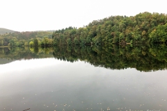 IMG_1569 IMG_1569