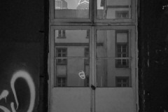 IMG_1954