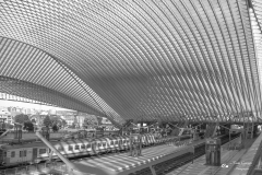 IMG_9200