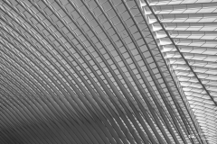 IMG_9258