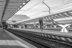 IMG_9305