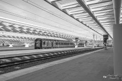 IMG_9319-2