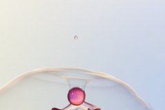 IMG_5541