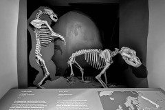 IMG_4093-1