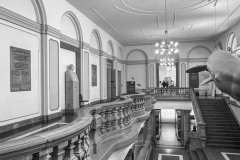 IMG_4114-1