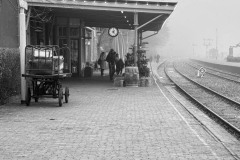 IMG_2909
