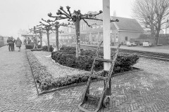 IMG_2914