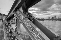 IMG_3986