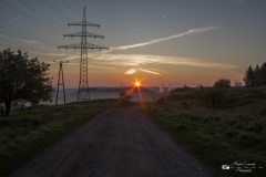 IMG_5781-1