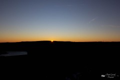 IMG_3433