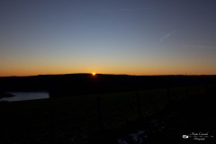 IMG_3435