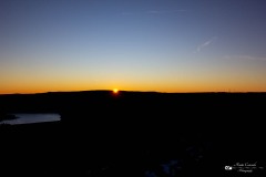 IMG_3437