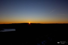 IMG_3438