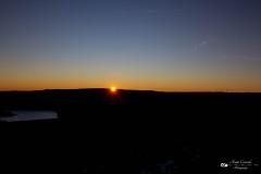 IMG_3444