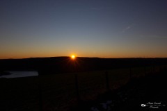 IMG_3449