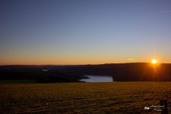 IMG_3477