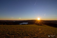 IMG_3506