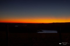 IMG_7931
