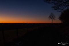 IMG_7942