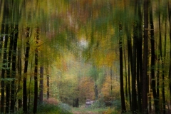 IMG_0658-Bearbeitet