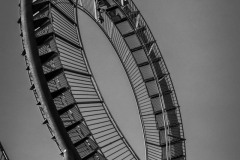 NZ7_7245
