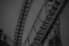 NZ7_7281
