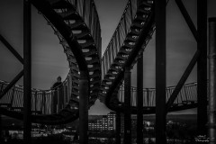 NZ7_7316