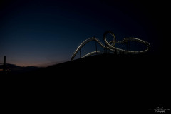 NZ7_7368