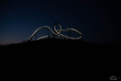 NZ7_7381