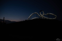 NZ7_7382