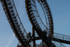 NZ7_7284