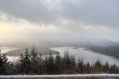 IMG_8203