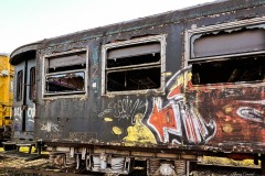 LR-IMG_9357