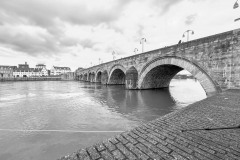 IMG_0081
