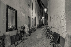IMG_0123
