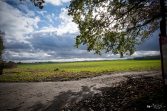 NZ7_5589